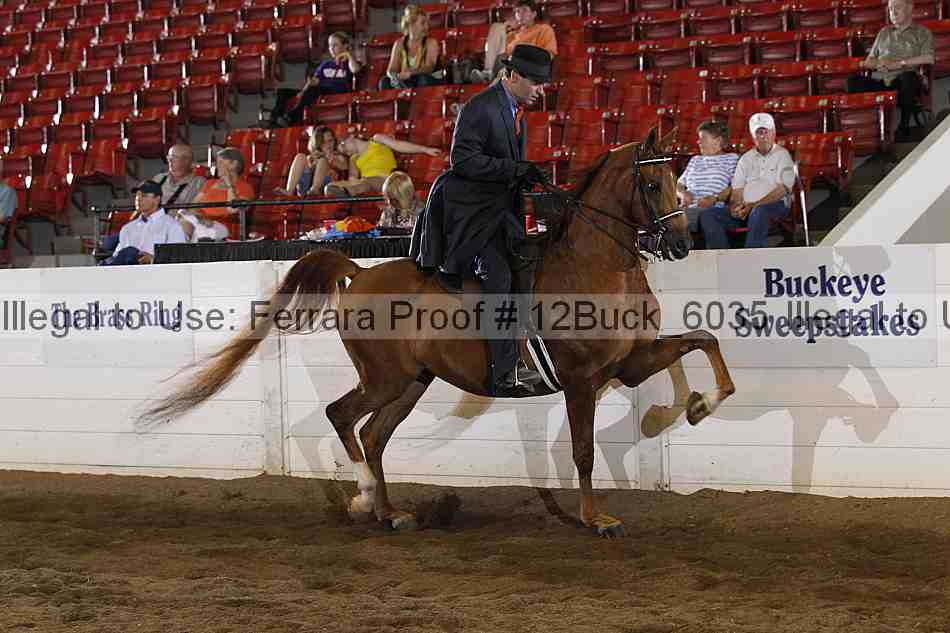 Proof 12buck_6035