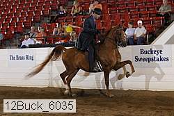 12buck_6035 proof