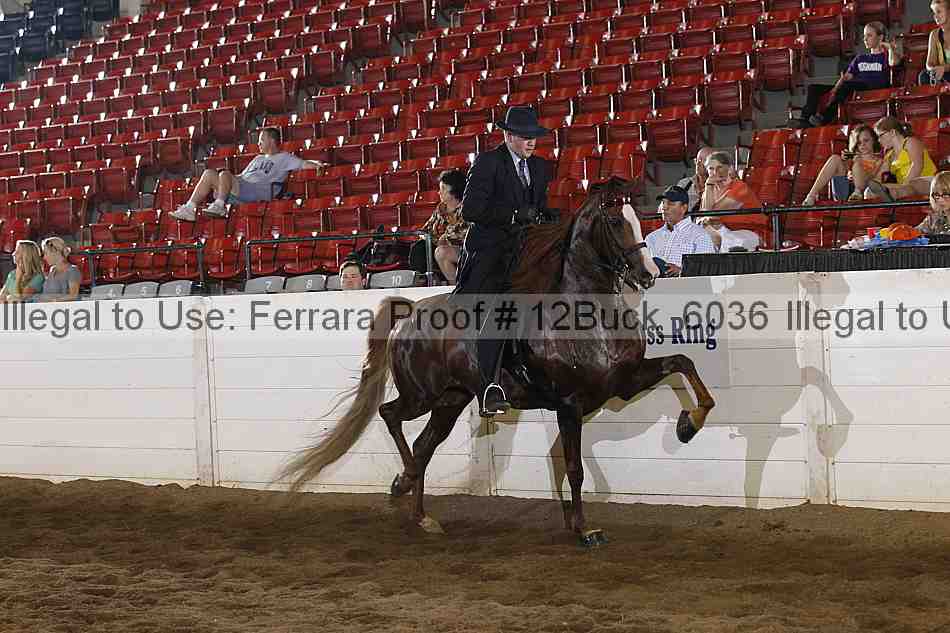 Proof 12buck_6036