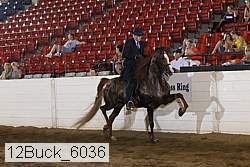 12buck_6036 proof
