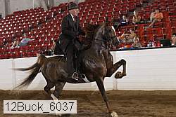 12buck_6037 proof