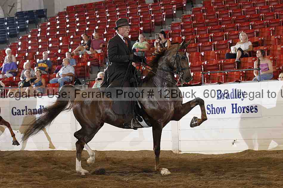 Proof 12buck_6038