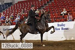 12buck_6038 proof