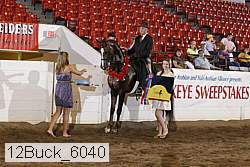 12buck_6040 proof