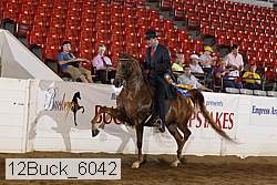 12buck_6042 proof
