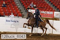 12buck_6043 proof