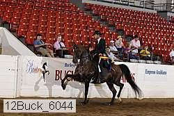 12buck_6044 proof