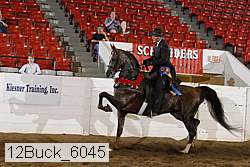 12buck_6045 proof