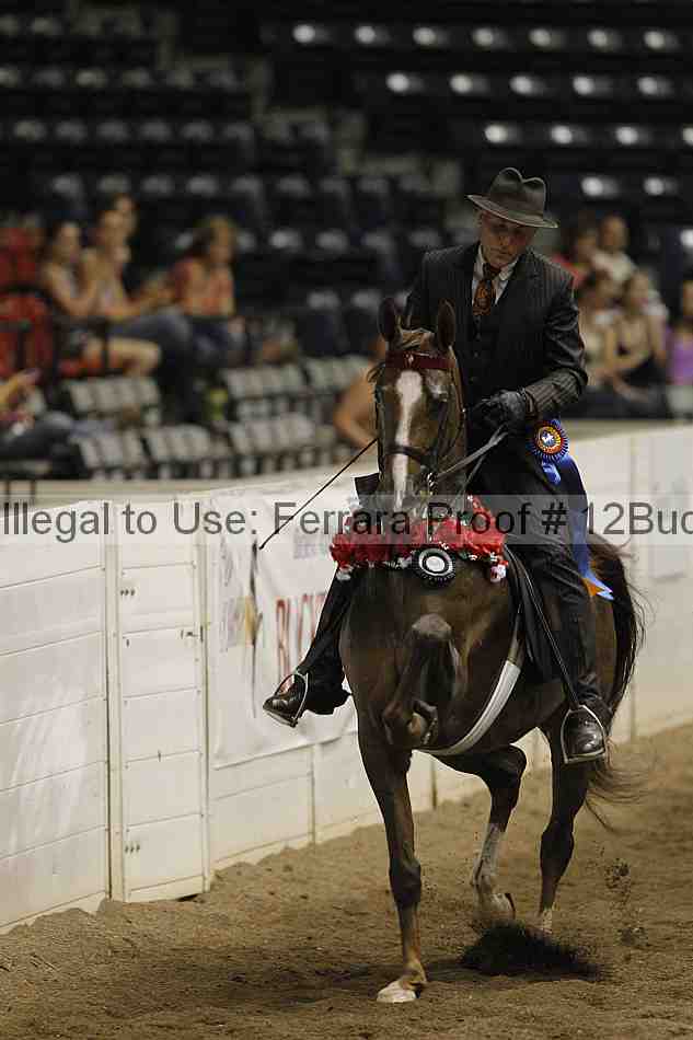Proof 12buck_6046