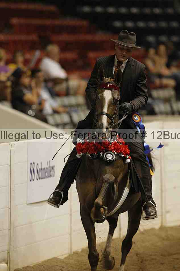 Proof 12buck_6047