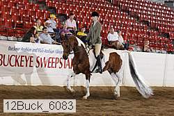 12buck_6083 proof