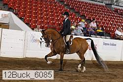 12buck_6085 proof