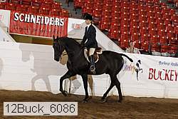 12buck_6086 proof