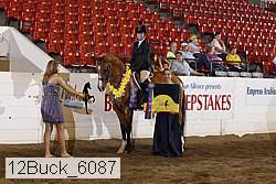 12buck_6087 proof
