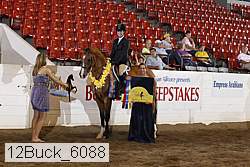 12buck_6088 proof