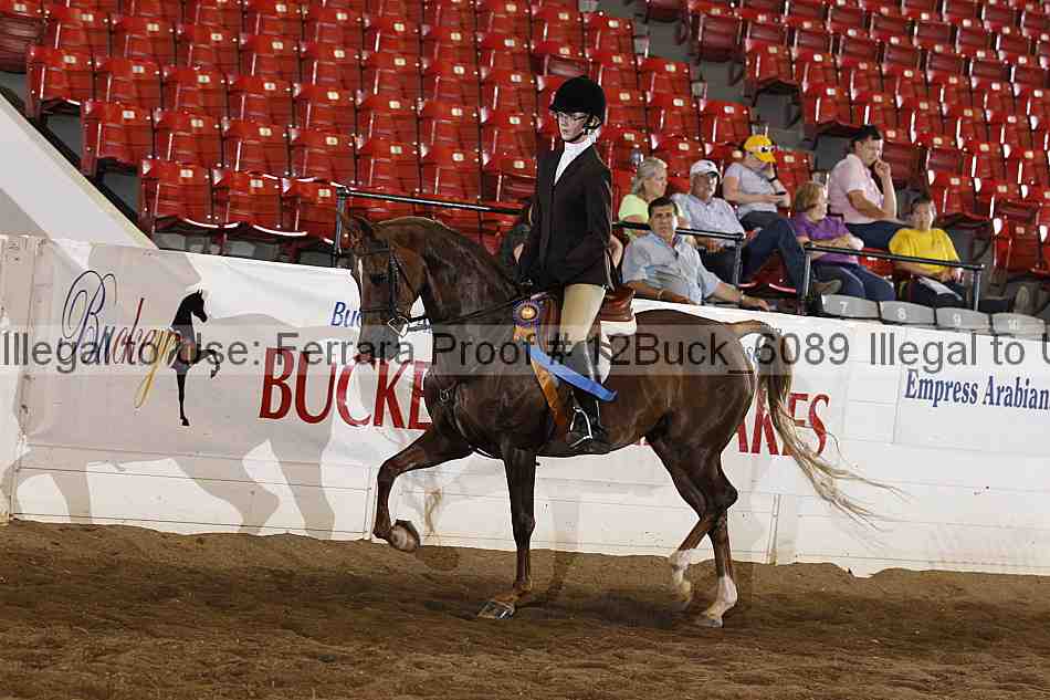 Proof 12buck_6089