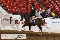 12buck_6089 proof