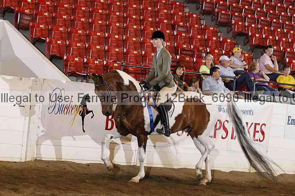Proof 12buck_6090