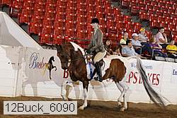 12buck_6090 proof