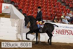 12buck_6091 proof