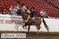 12buck_6093 proof