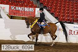 12buck_6094 proof