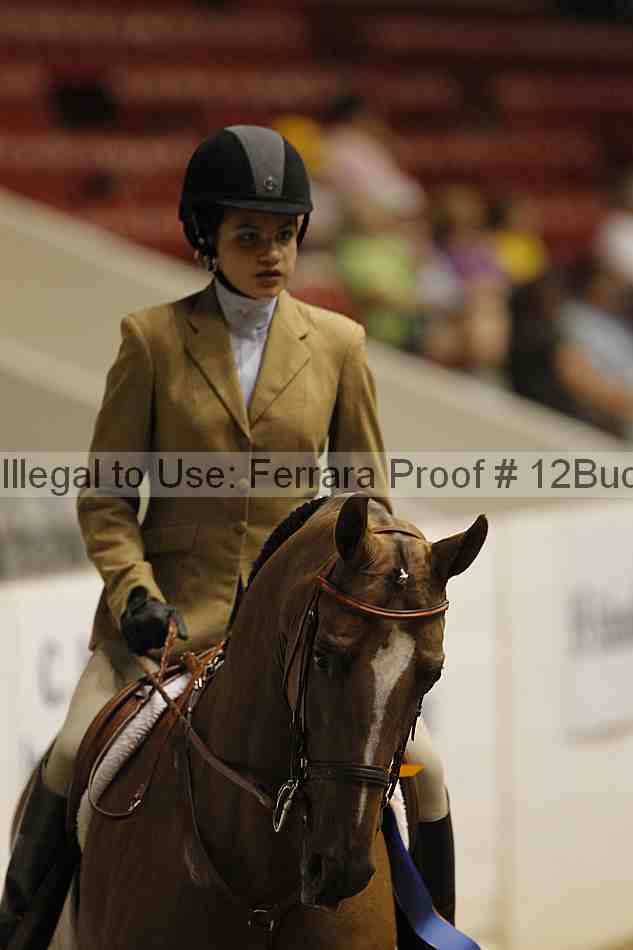 Proof 12buck_6095