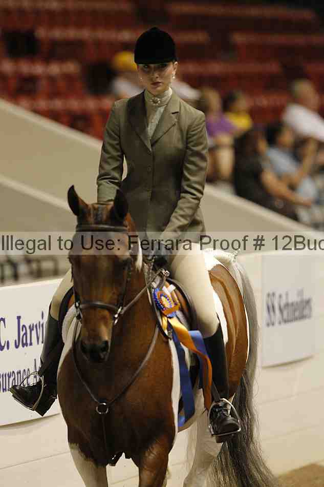 Proof 12buck_6096