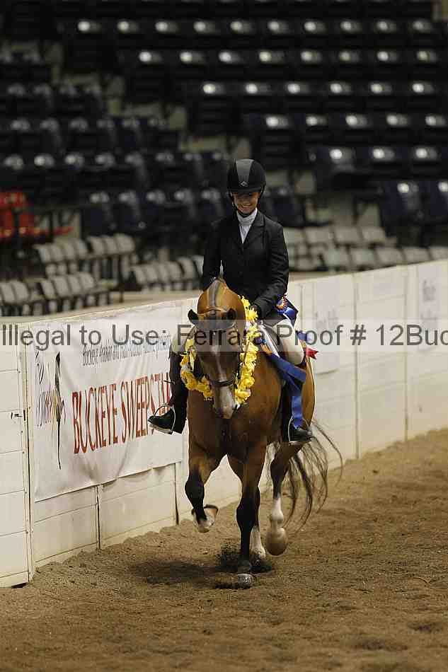 Proof 12buck_6099