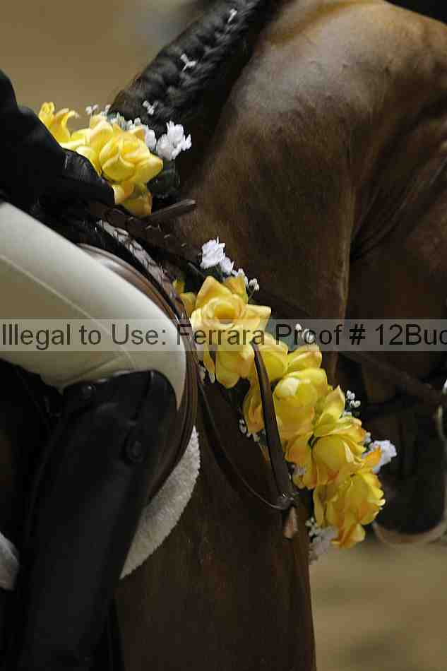 Proof 12buck_6102