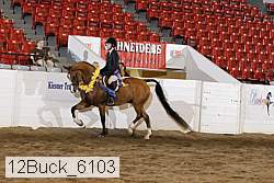 12buck_6103 proof