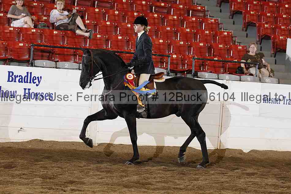 Proof 12buck_6104
