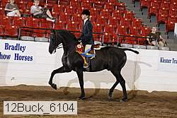 12buck_6104 proof