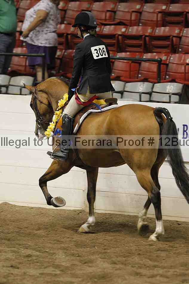 Proof 12buck_6105