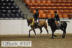 12buck_6107 proof