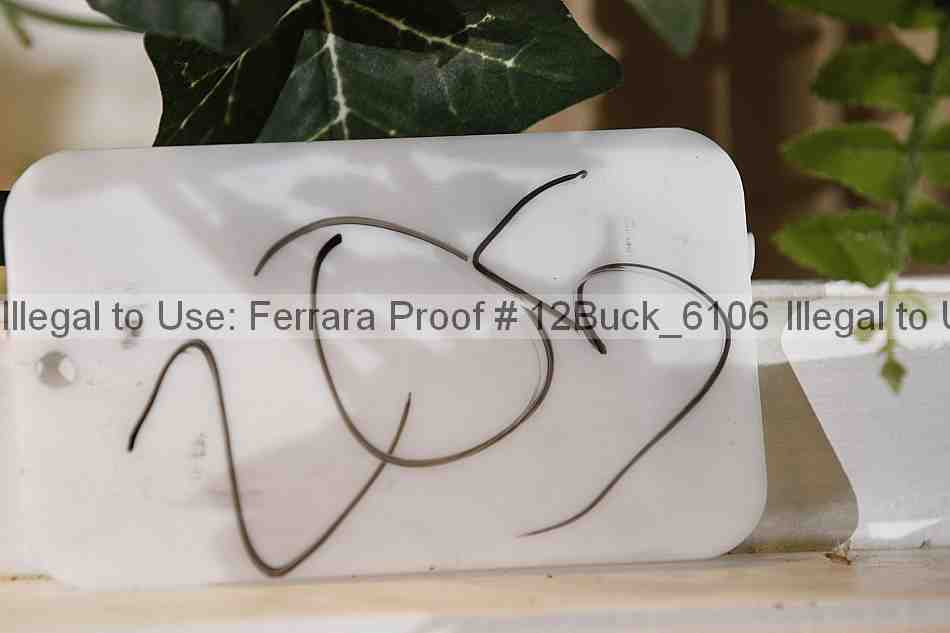 Proof 12buck_6106