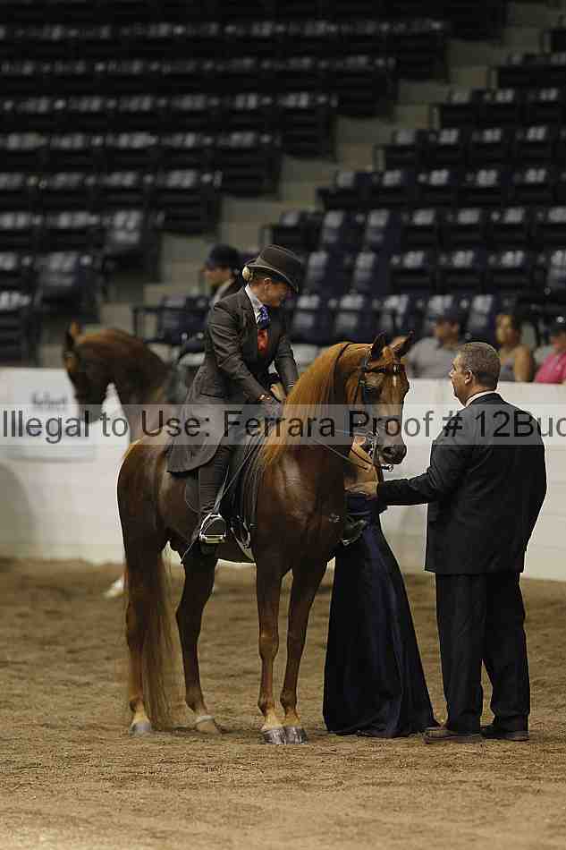 Proof 12buck_6109