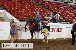 12buck_6110 proof