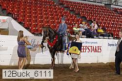 12buck_6111 proof