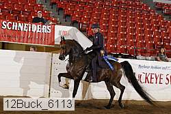 12buck_6113 proof