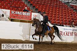12buck_6114 proof