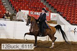 12buck_6115 proof
