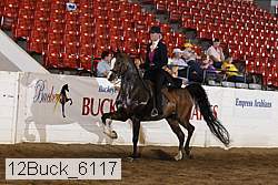 12buck_6117 proof