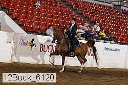 12buck_6120 proof