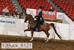 12buck_6121 proof