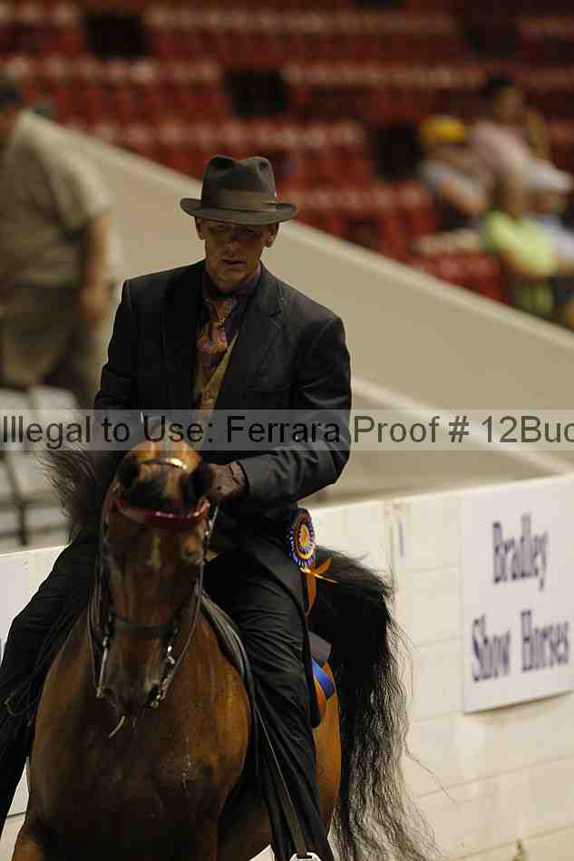 Proof 12buck_6123
