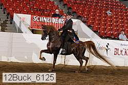 12buck_6125 proof