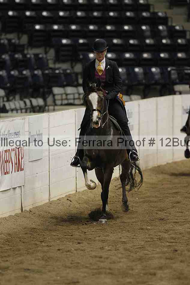 Proof 12buck_6126