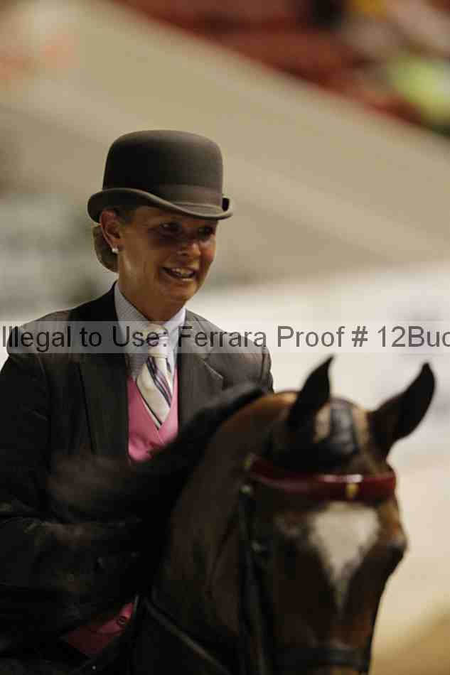 Proof 12buck_6131