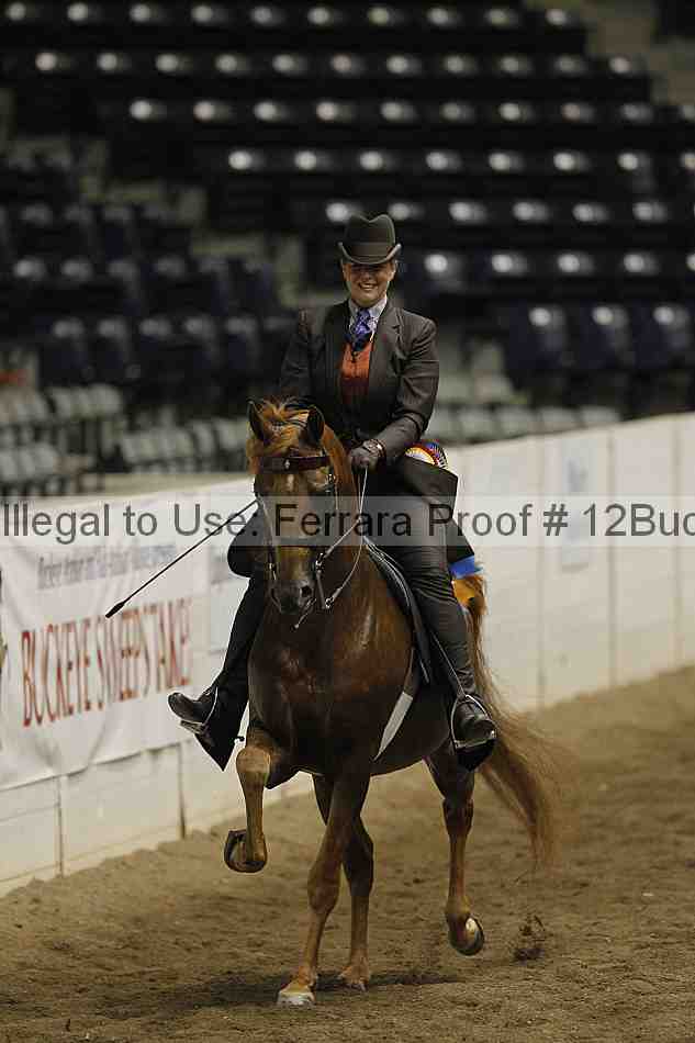 Proof 12buck_6135